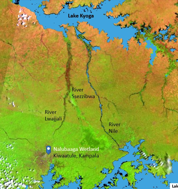 Nalubaaga Wetland Aerial View