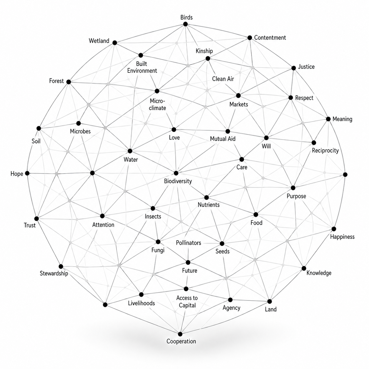 A web-of-life diagram: dozens of entangled nodes — birds, wetland, soil, kinship, trust, care, markets, livelihoods, future — all connected to one another.